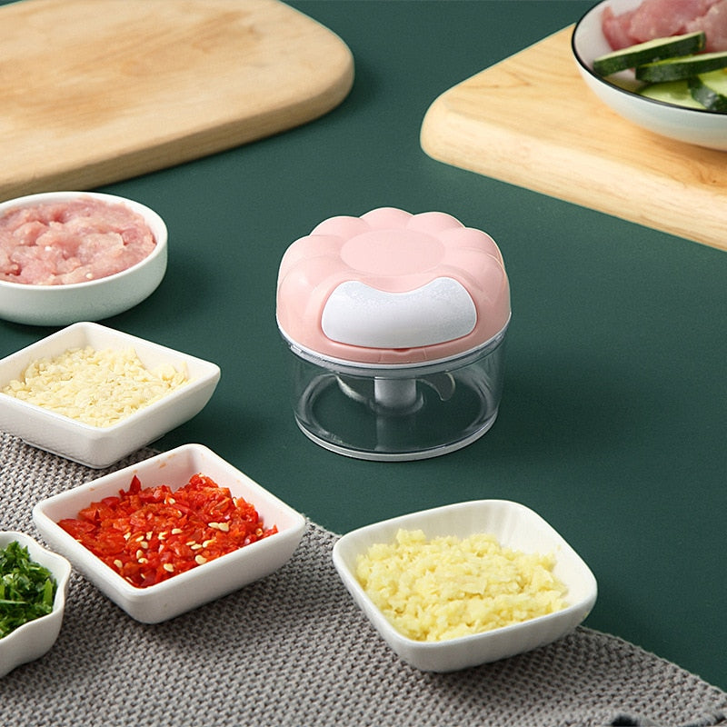 Multi-function Garlic Grinding Manual Chopper